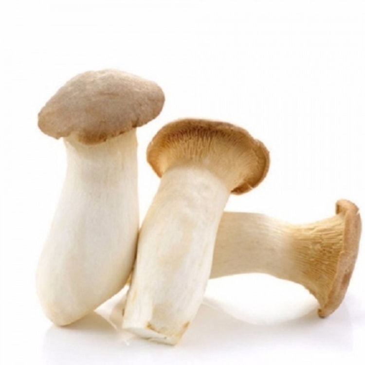 KING OYSTER(杏鲍菇)