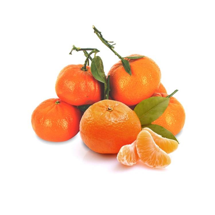 LEAF TANGERINE(有葉蜜橘)