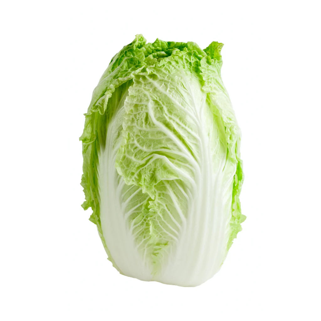 NAPA CABBAGE(紹菜)